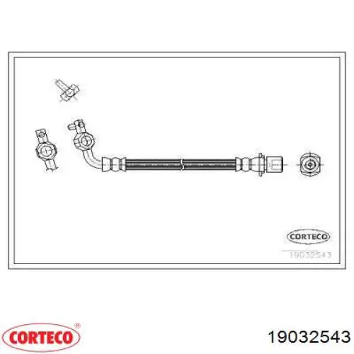  19032543 Corteco