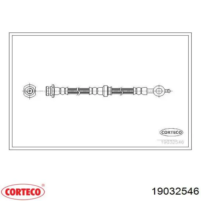  19032546 Corteco