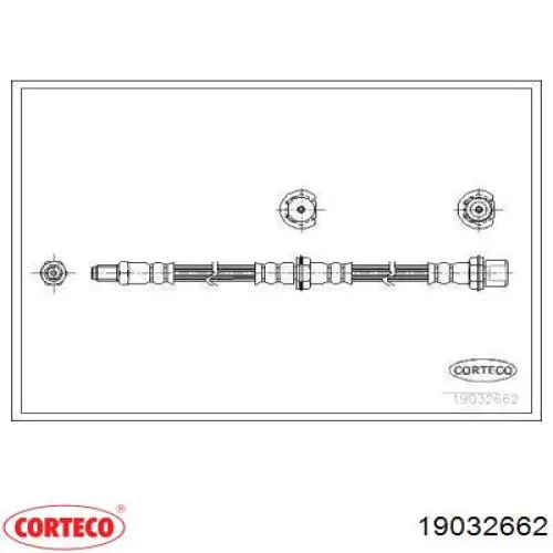  19032662 Corteco