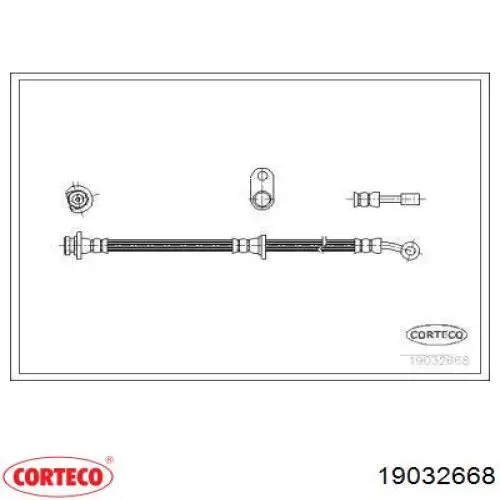  19032668 Corteco