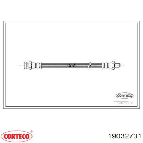  19032731 Corteco