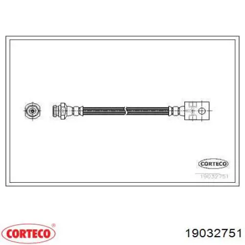  19032751 Corteco