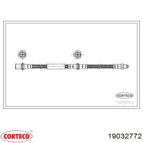  19032772 Corteco