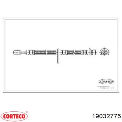  19032775 Corteco