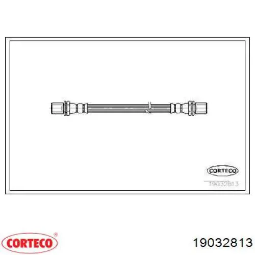  19032813 Corteco
