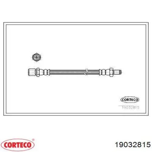  19032815 Corteco