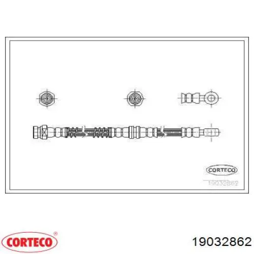  19032862 Corteco