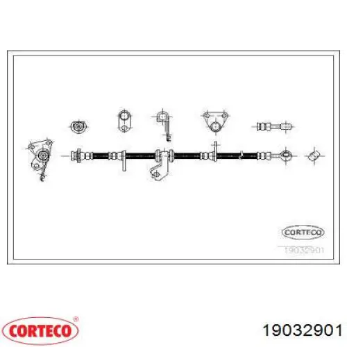  19032901 Corteco