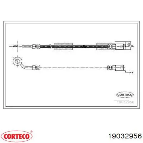 Шланг тормозной передний правый 19032956 Corteco