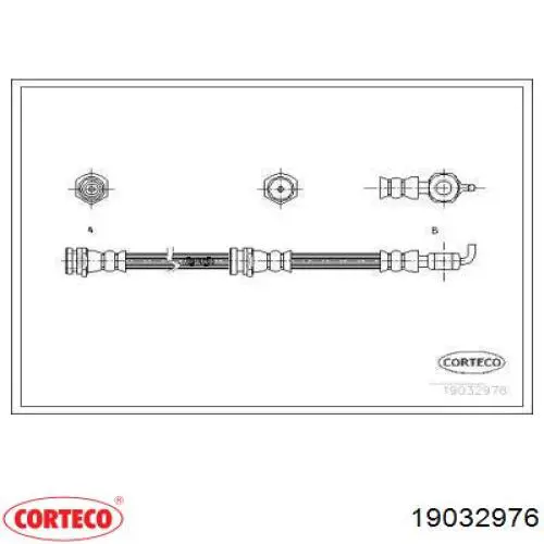  19032976 Corteco