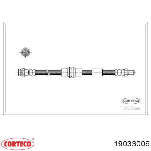  19033006 Corteco