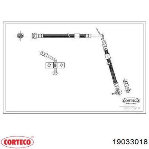  19033018 Corteco