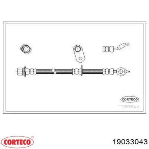  19033043 Corteco
