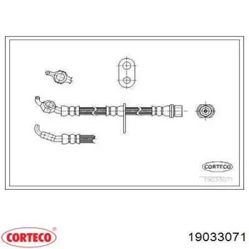  19033071 Corteco