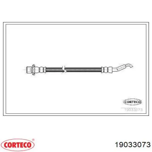  19033073 Corteco