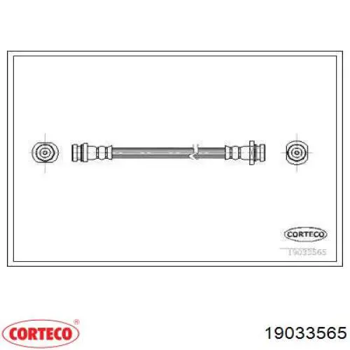  19033565 Corteco