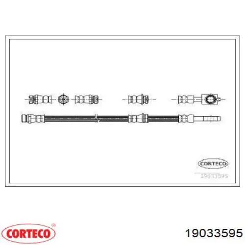 19033595 Corteco