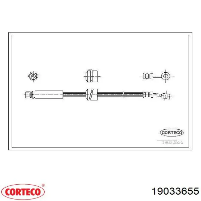  19033655 Corteco