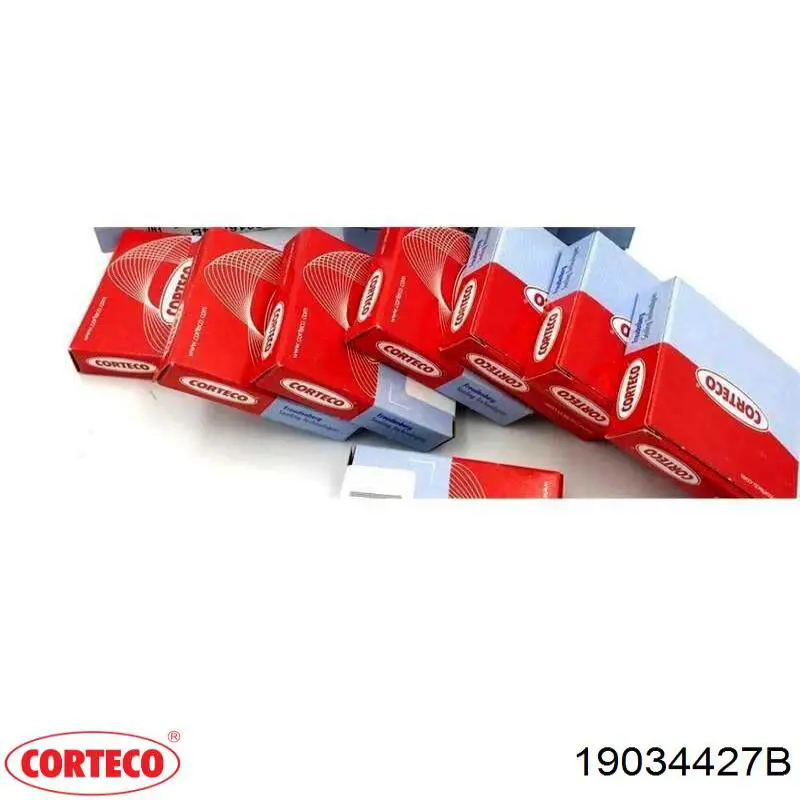 Купить 19034427B Corteco Уплотнительное кольцо, универсальное