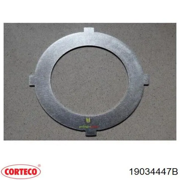  Corteco 19034447B