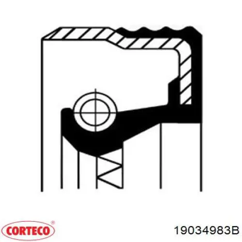Купить 19034983 Corteco Сальник хвостовика