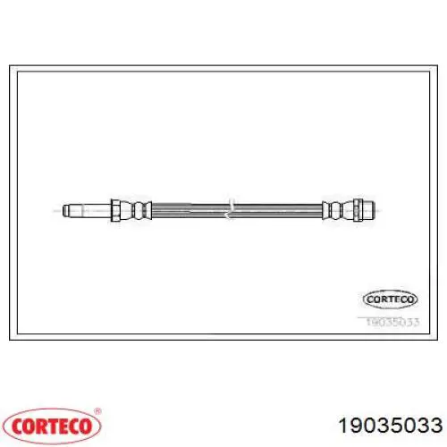  19035033 Corteco