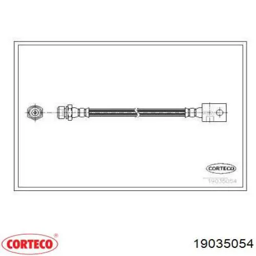  19035054 Corteco