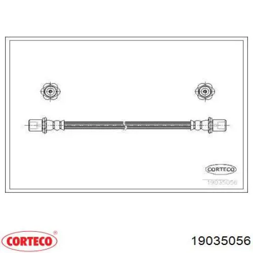  19035056 Corteco