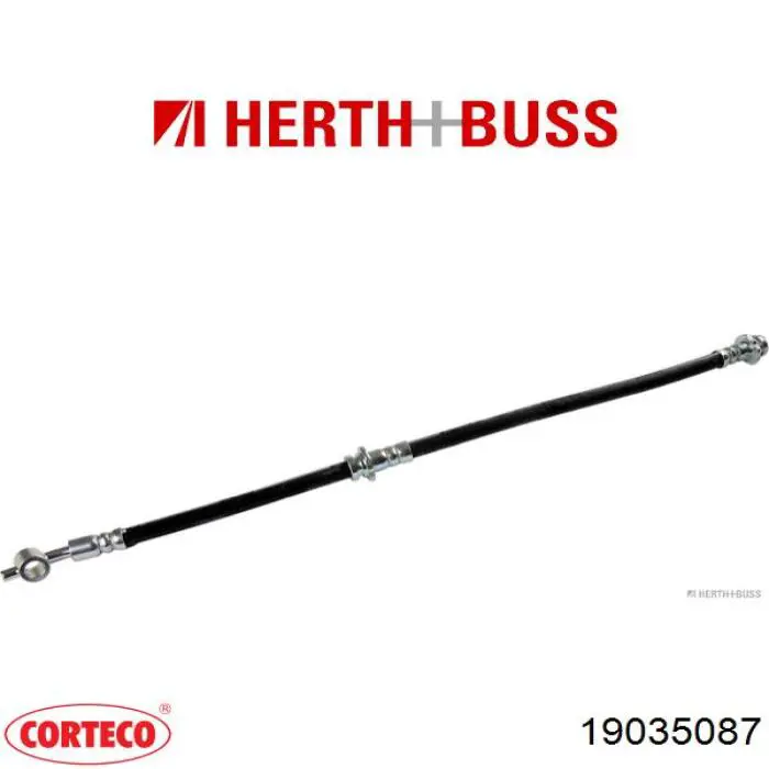 19035087 Corteco 