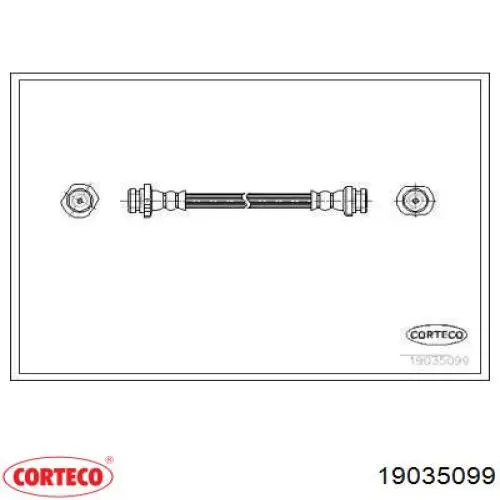  19035099 Corteco