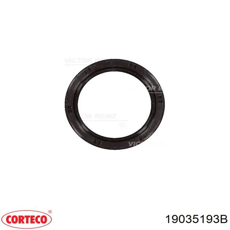 Сальник распредвала двигателя передний Corteco 19035193B цена, от 8.73 USD