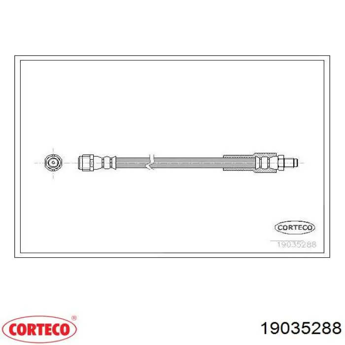 19035288 Corteco