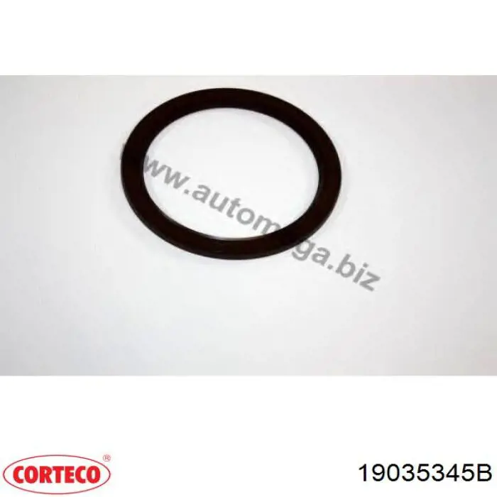 Сальник коленвала задний Corteco 19035345B цена, от 16.31 USD