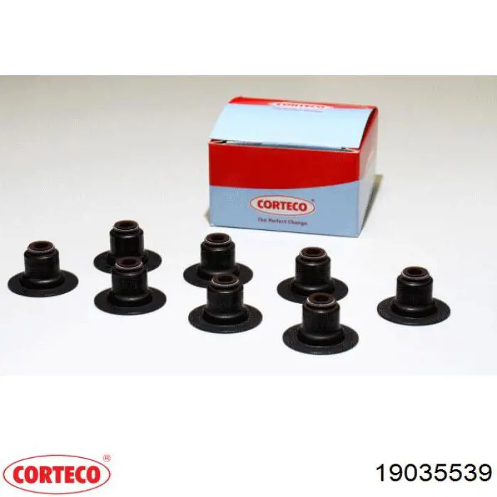 19035539 Corteco сальник клапана (маслосъемный, впуск/выпуск)