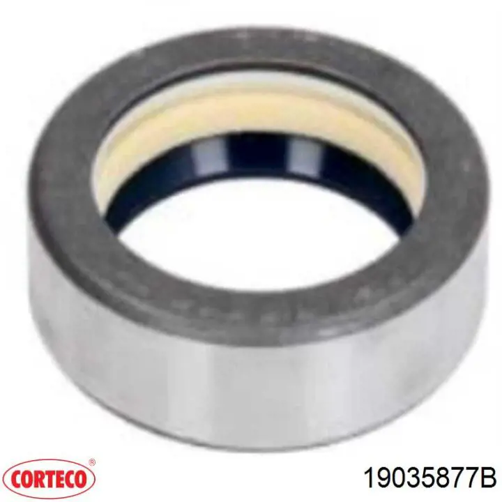  Corteco 19035877B