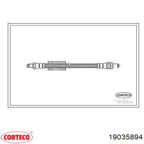  19035894 Corteco