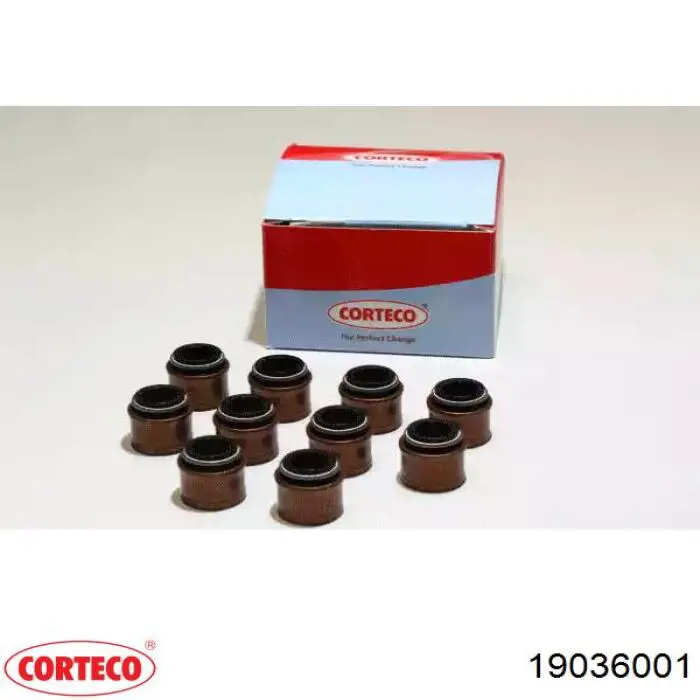 19036001 Corteco сальник клапана (маслосъемный, впуск/выпуск)