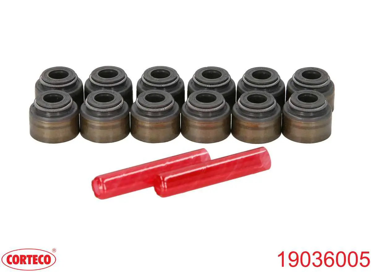 19036005 Corteco сальник клапана (маслосъемный, впуск/выпуск, комплект на мотор)