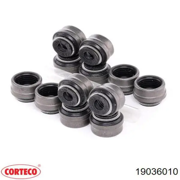 19036010 Corteco 