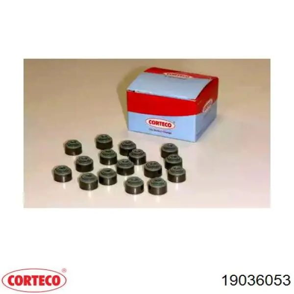 Купить 19036053 Corteco 