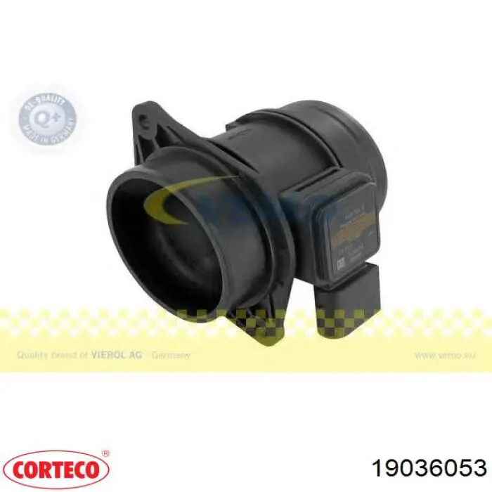 19036053 Corteco 