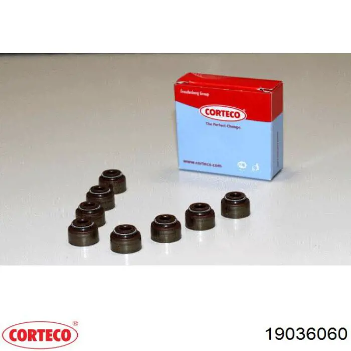  19036060 Corteco