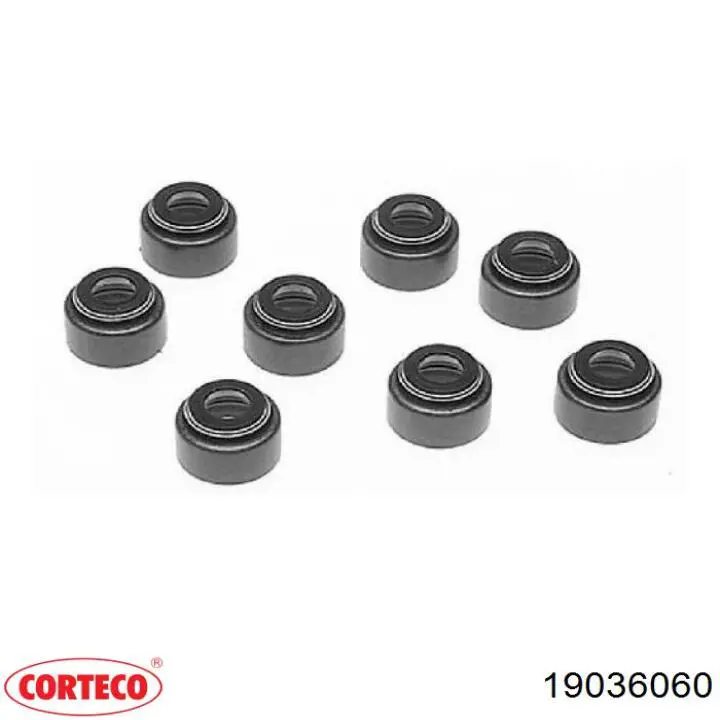 19036060 Corteco 