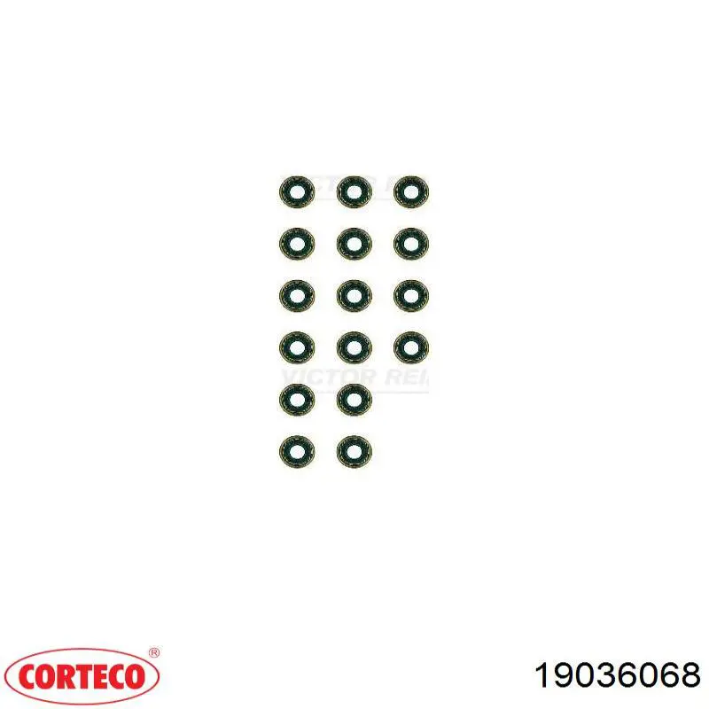 Купить 19036068 Corteco 