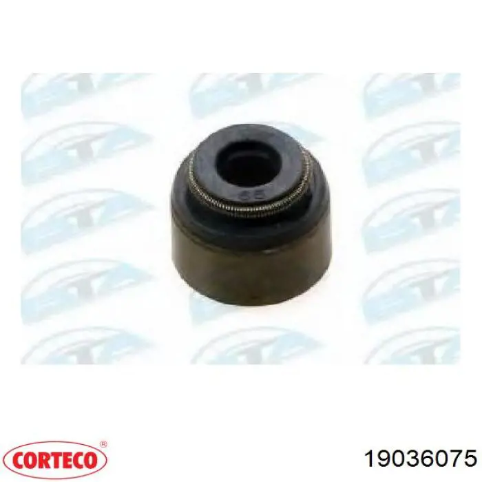 Купить 132075L300 Nissan/Infiniti Сальник клапана (маслосъёмный) выпускного, комплект