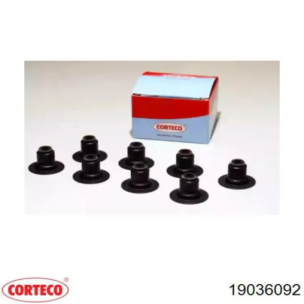 19036092 Corteco сальник клапана (маслосъемный, впуск/выпуск, комплект на мотор)