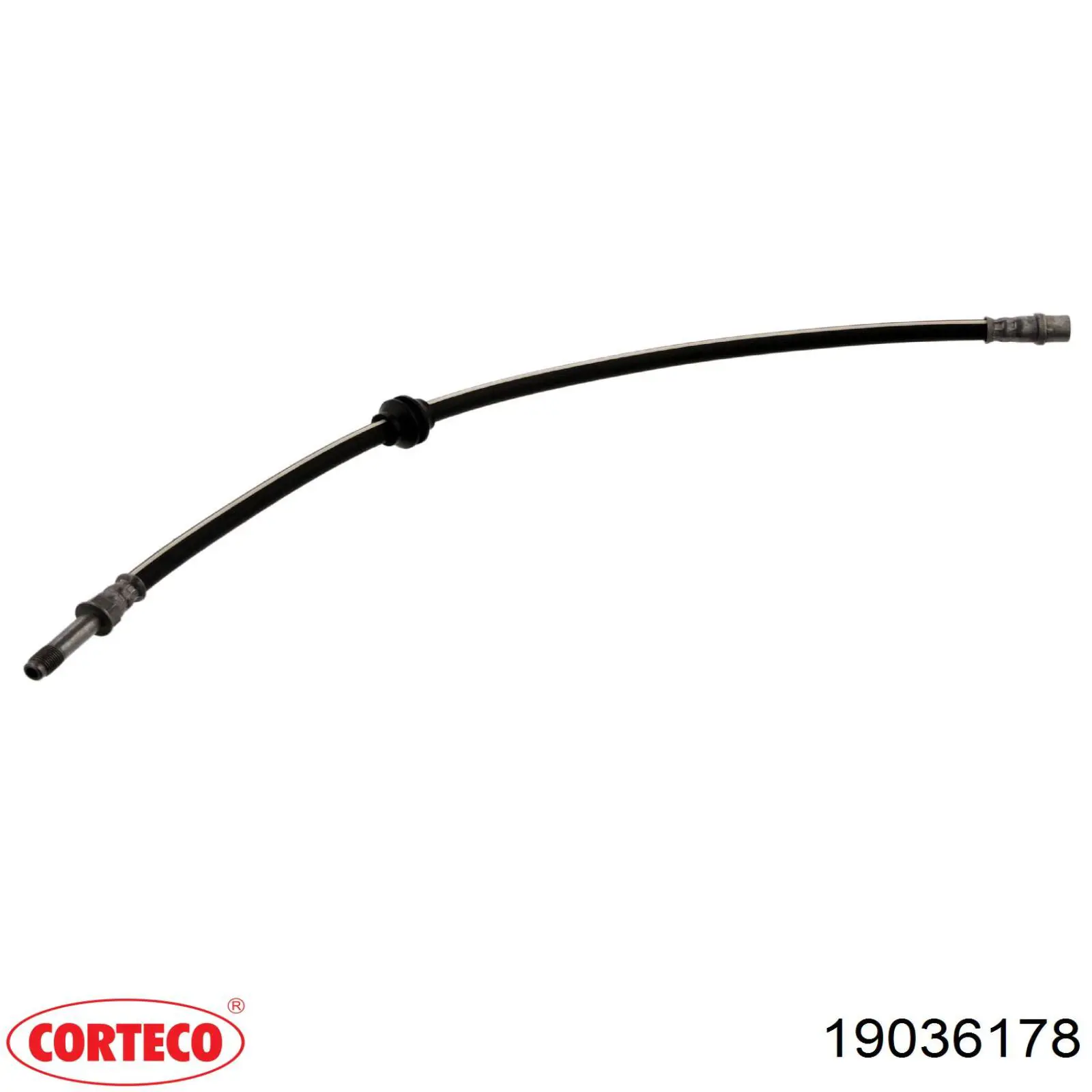 Тормозной шланг задний Corteco 19036178 цена, от 13.76 USD