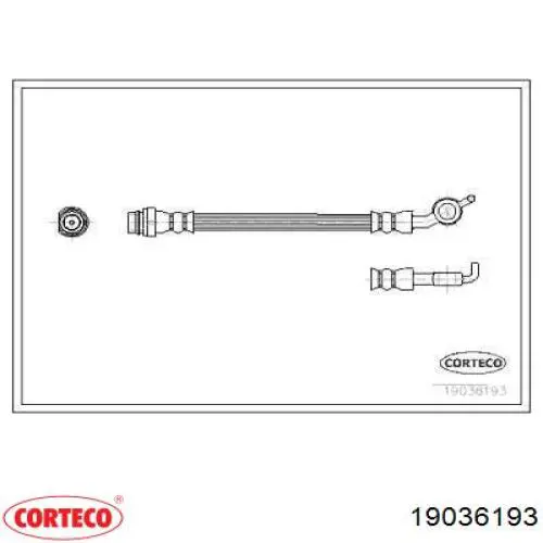  19036193 Corteco