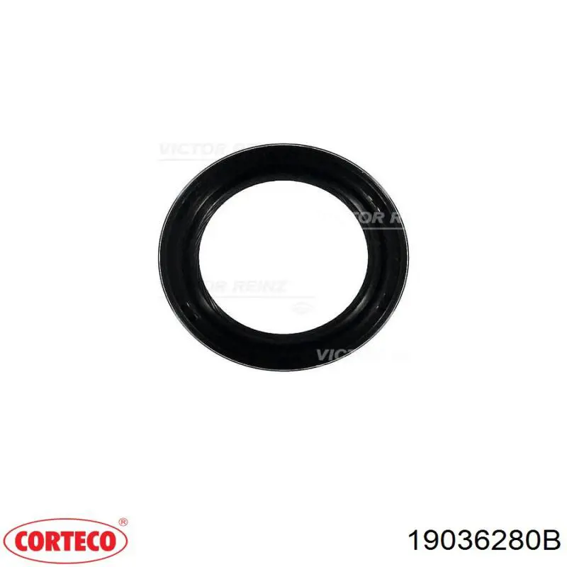 Сальник двигателя распредвала Corteco 19036280B цена, от 3.43 USD