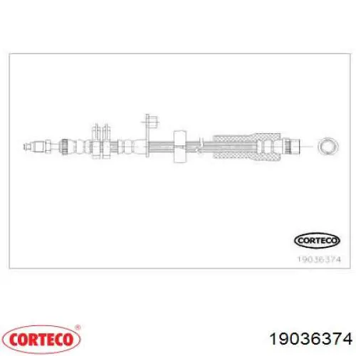 19036374 Corteco 